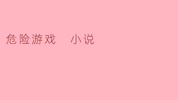 危险游戏 小说